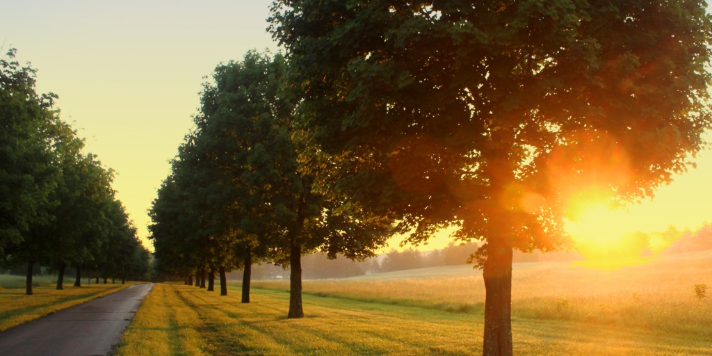 Why I work out in the&nbsp;morning!