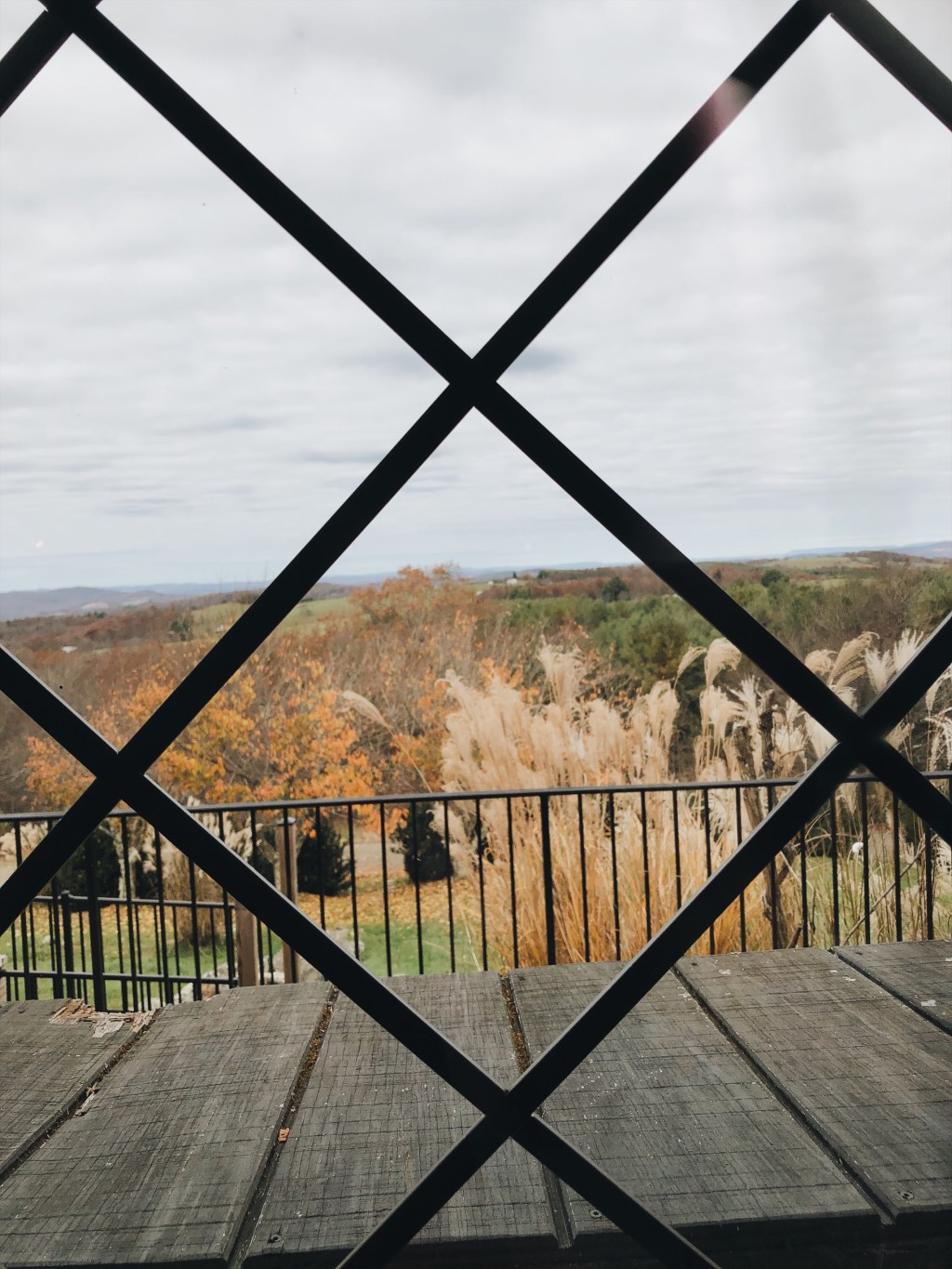 Chateau Morrisette Winery| Floyd, VA