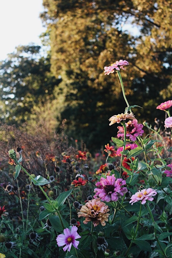 ♡ Strong Signals&nbsp;♡