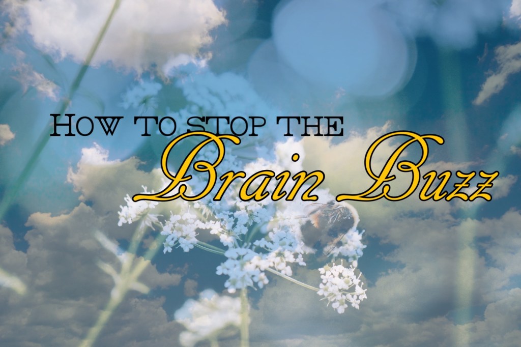 Busy Bee | How to Stop the Brain&nbsp;Buzz