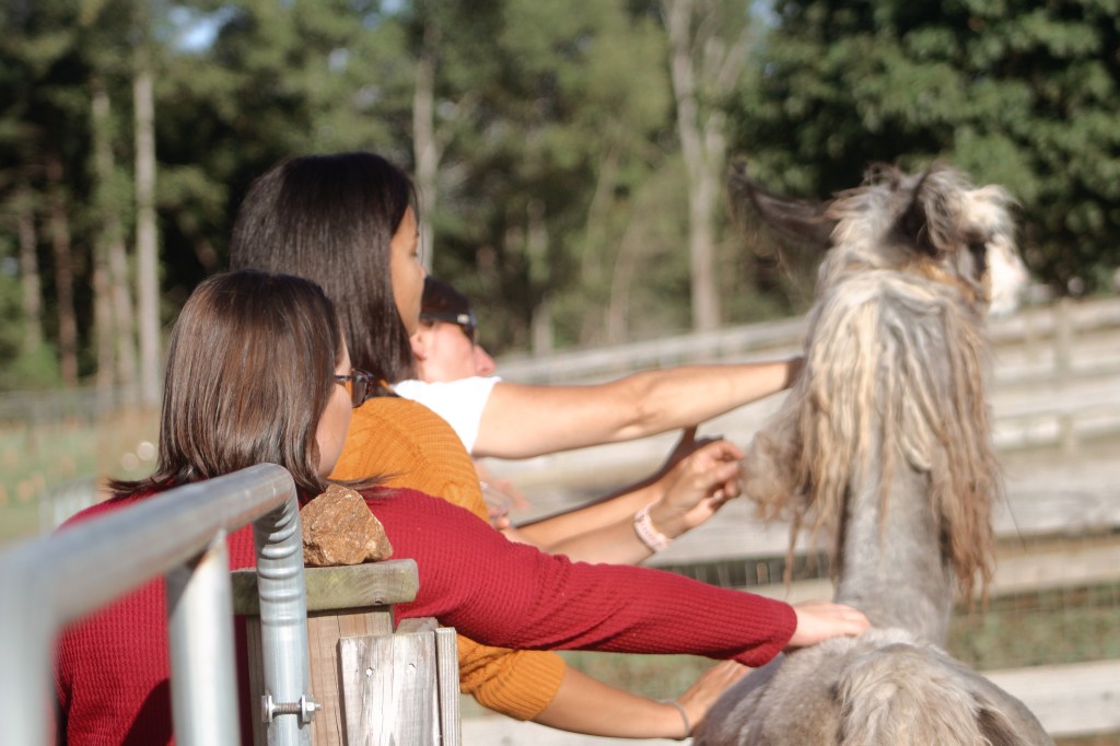 Photoset: Wine Times