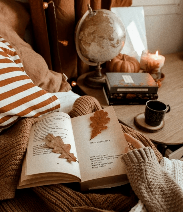 Reading Challenge: A Summary of The Books I’ve Read This Year