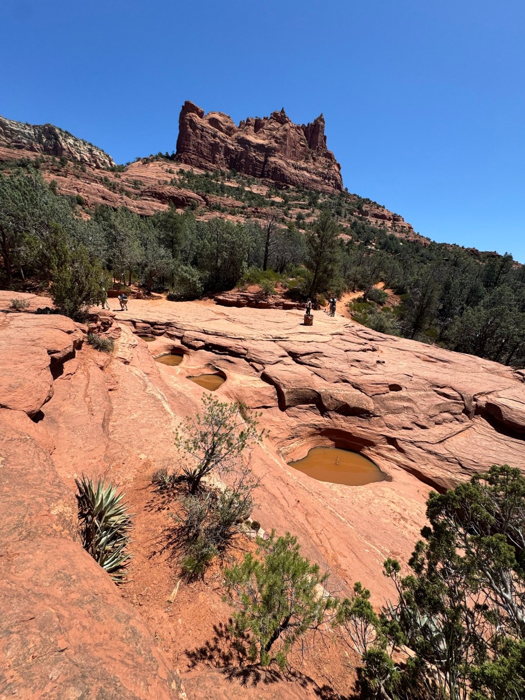 Soilder Pass Trail (7 Sacred Pools + Devil’s Kitchen&nbsp;Sinkhole)