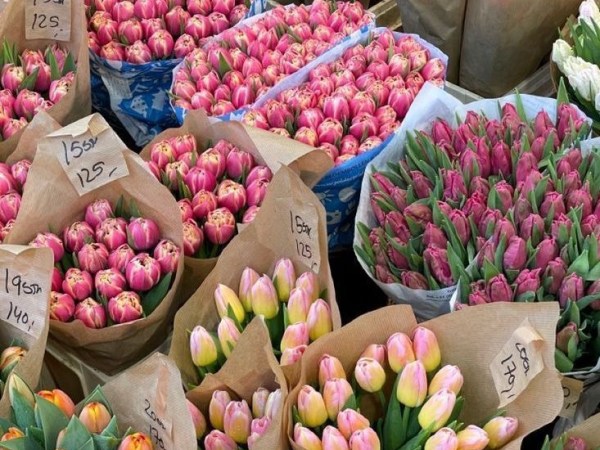 The Emotional Side of&nbsp;Decluttering